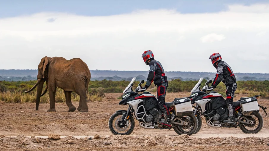 Multistrada V4 Rally görsel 2