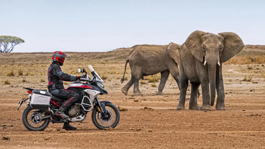 Multistrada V4 Rally görsel 3