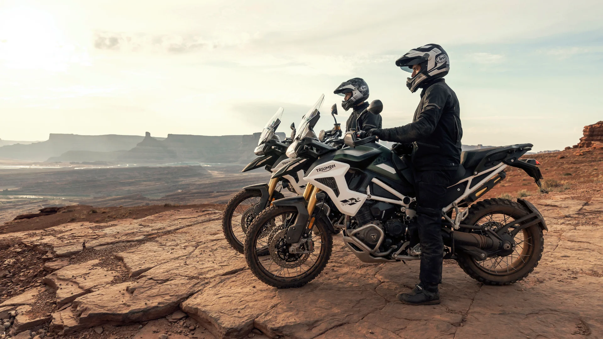 TIGER 1200 RALLY PRO