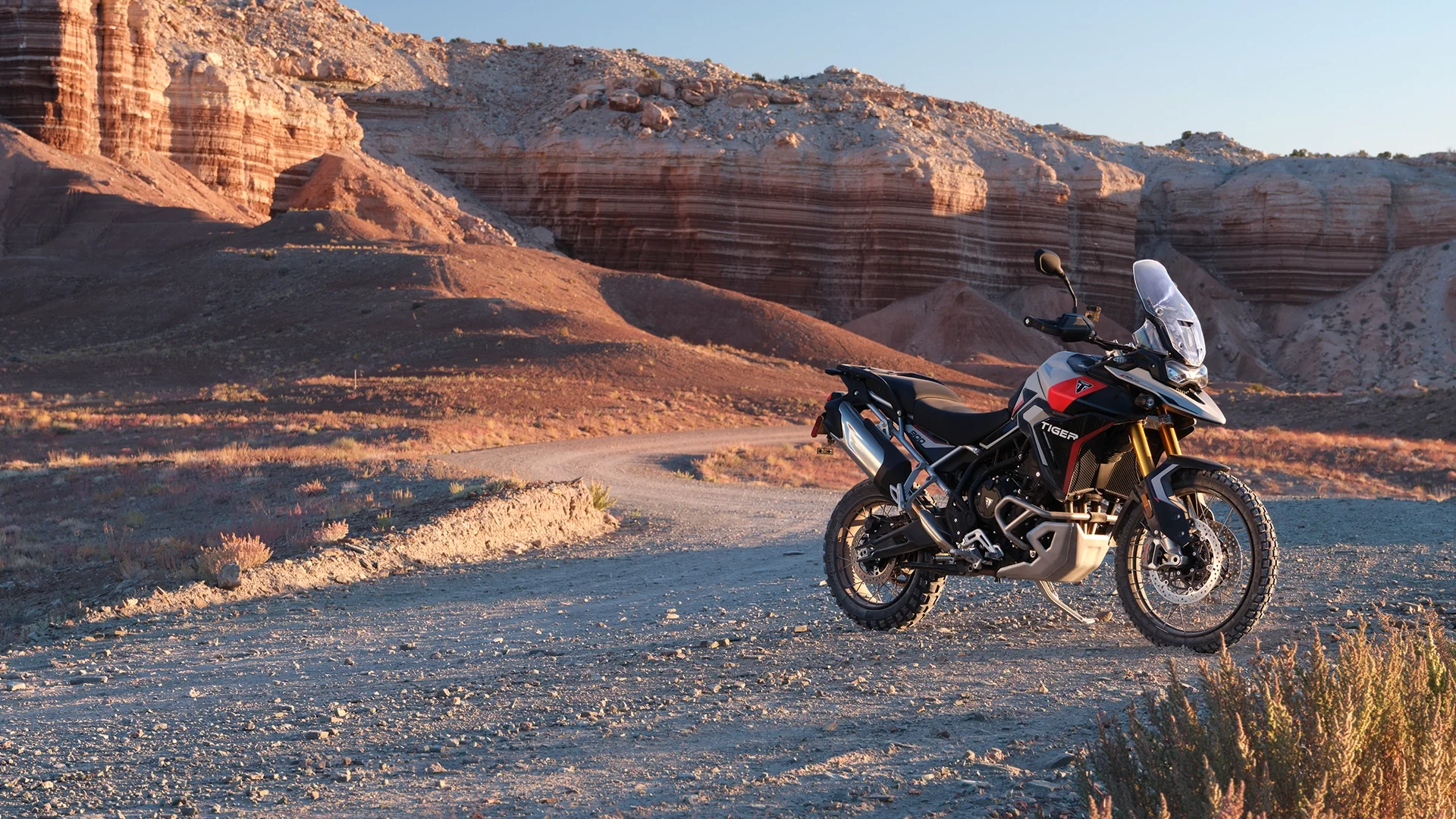 TIGER 900 RALLY PRO