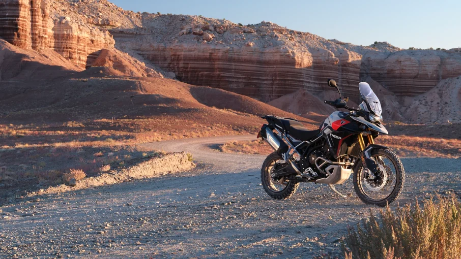 TIGER 900 RALLY PRO görsel 3