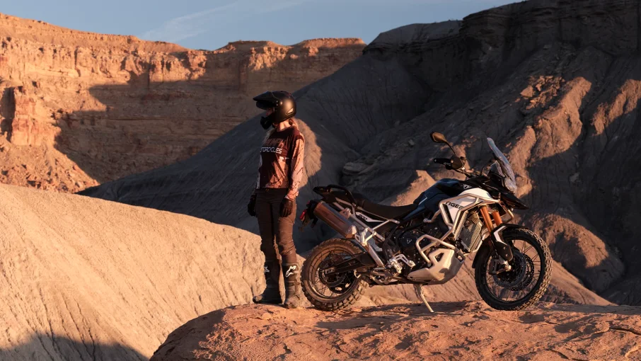 TIGER 900 RALLY PRO görsel 2