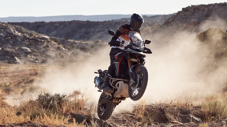 TIGER 900 RALLY PRO görsel 1