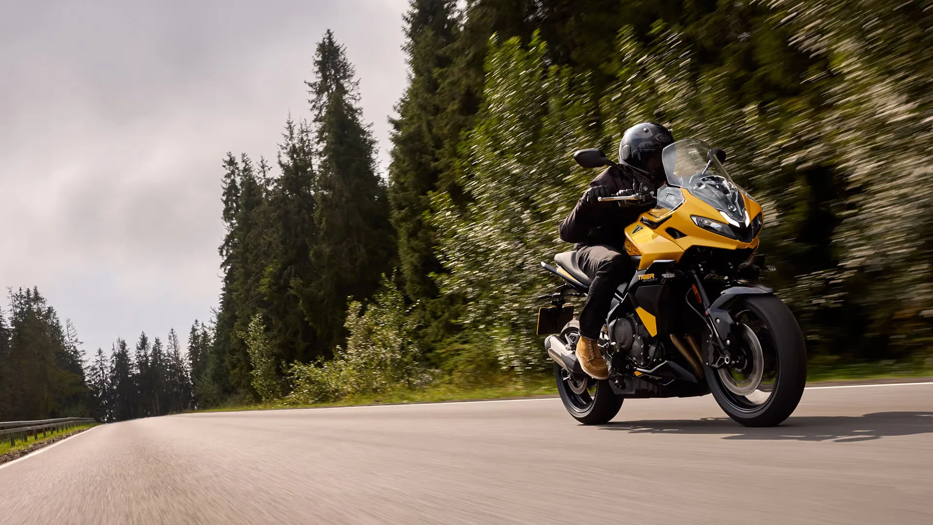 TIGER SPORT 800